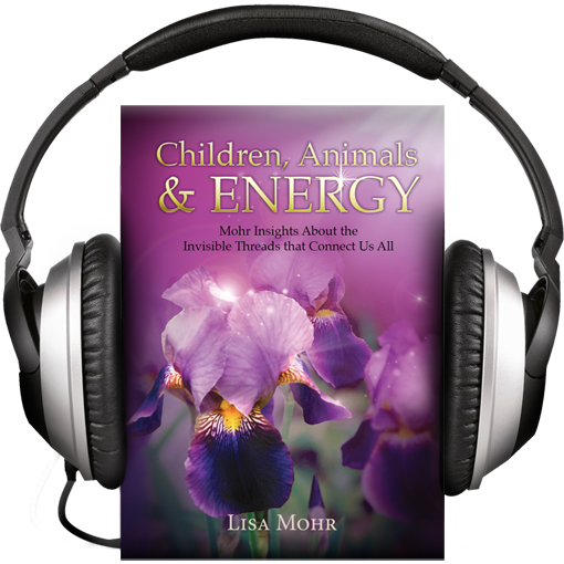 Children, Animals & Energy (Audiobook)